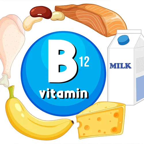 ویتامین b12 چیست